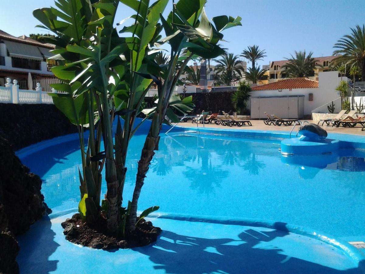 Paraiso Royal Dany & Pina بلايا ذي لاس أميريكاس المظهر الخارجي الصورة